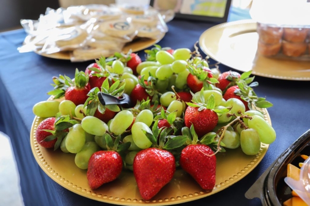 Mediation Center Peace in the Park Launch Party