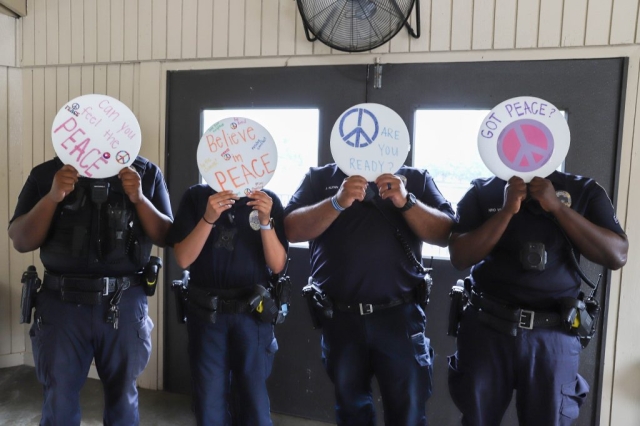 Mediation Center Peace in the Park Launch Party