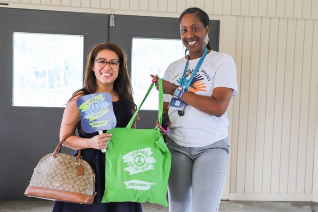 Mediation Center Peace in the Park Launch Party